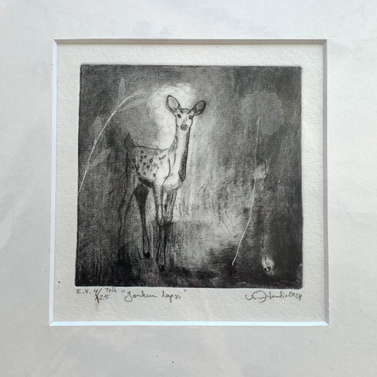 Jonkun lapsi, Nina Haatio