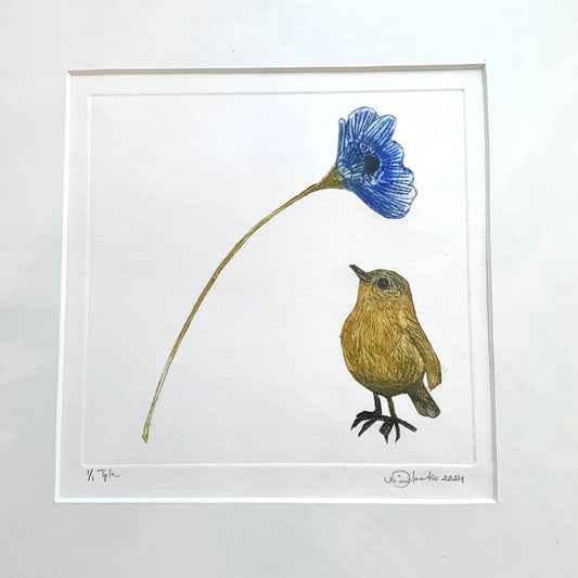 Ainokainen, Nina Haatio