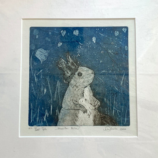 Kesäillan taika, Nina Haatio