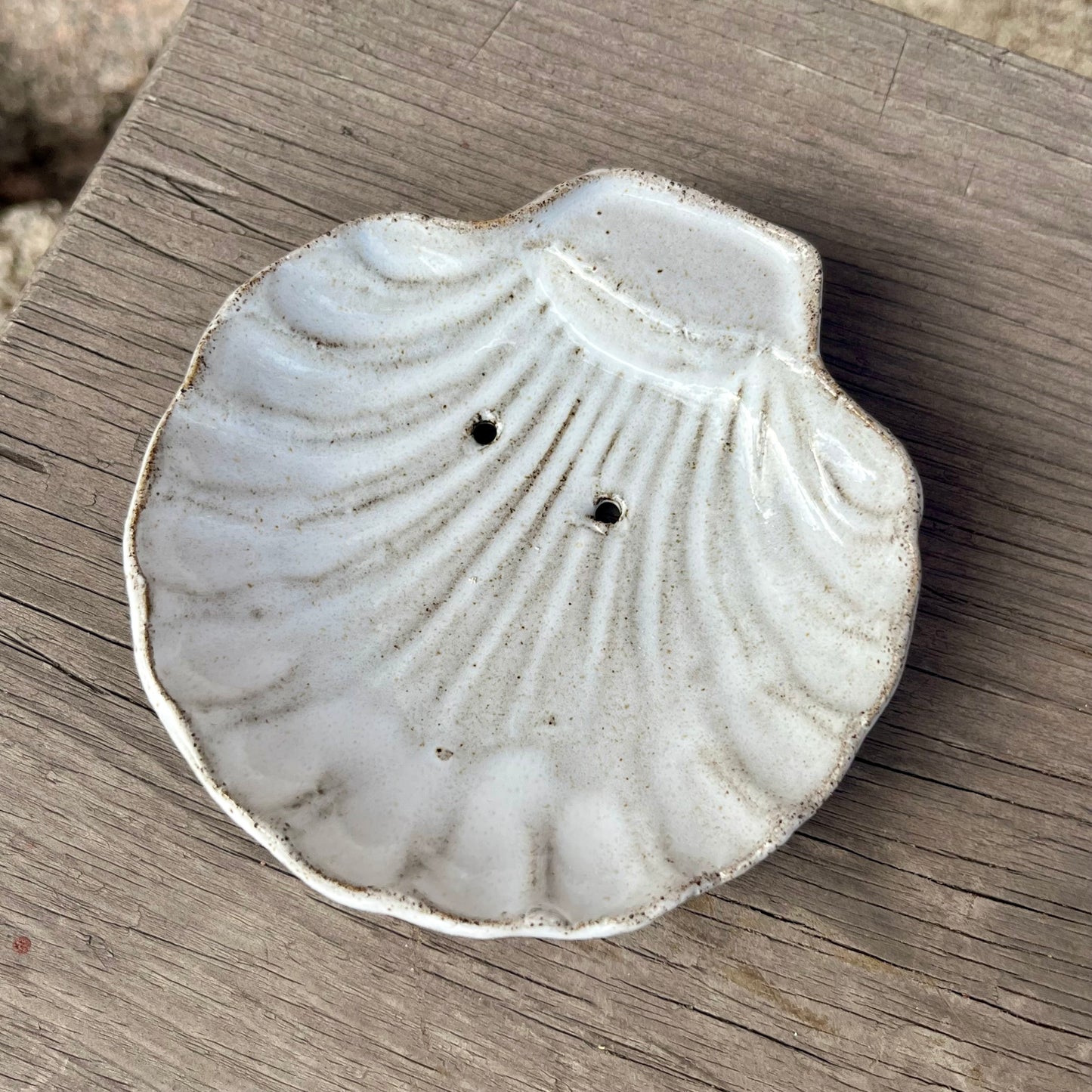 Simpukka saippualautanen