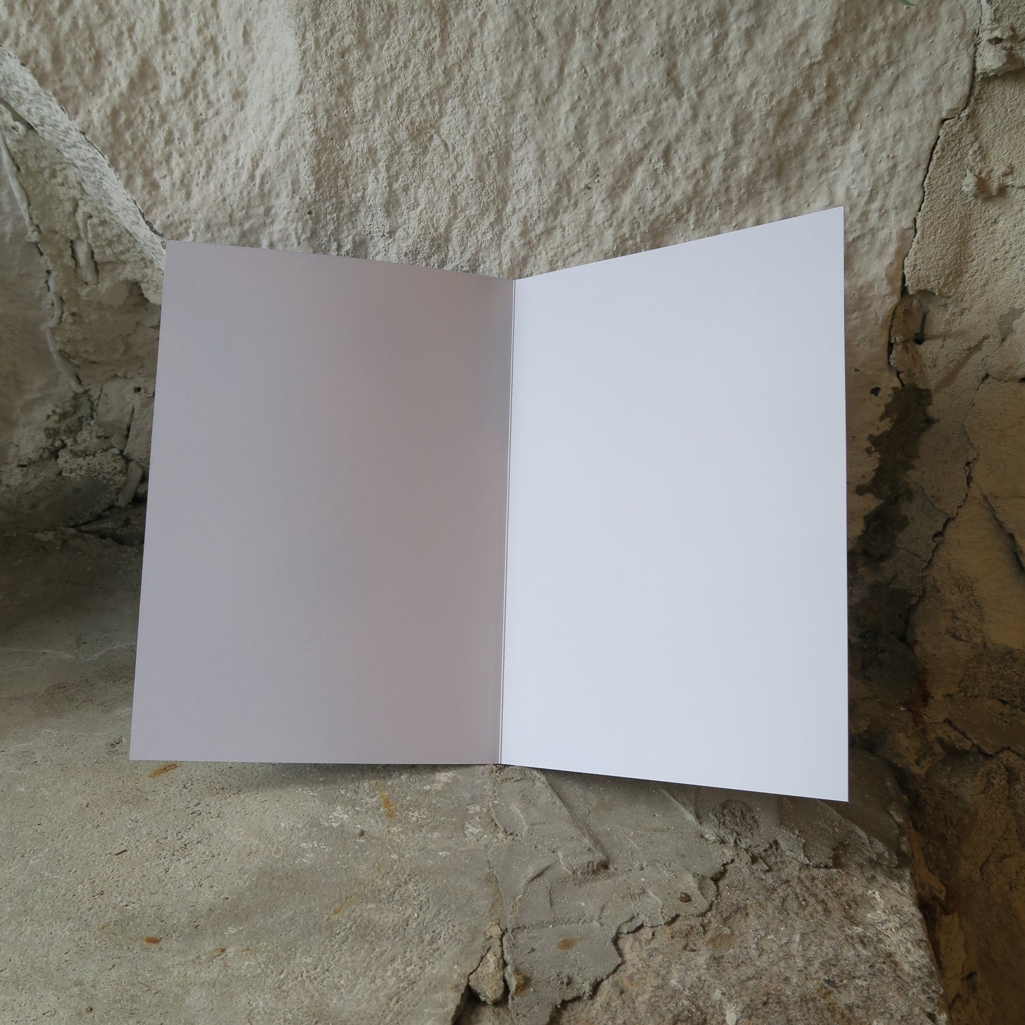 Suuri kortti / adressi - Lokit rannalla A4