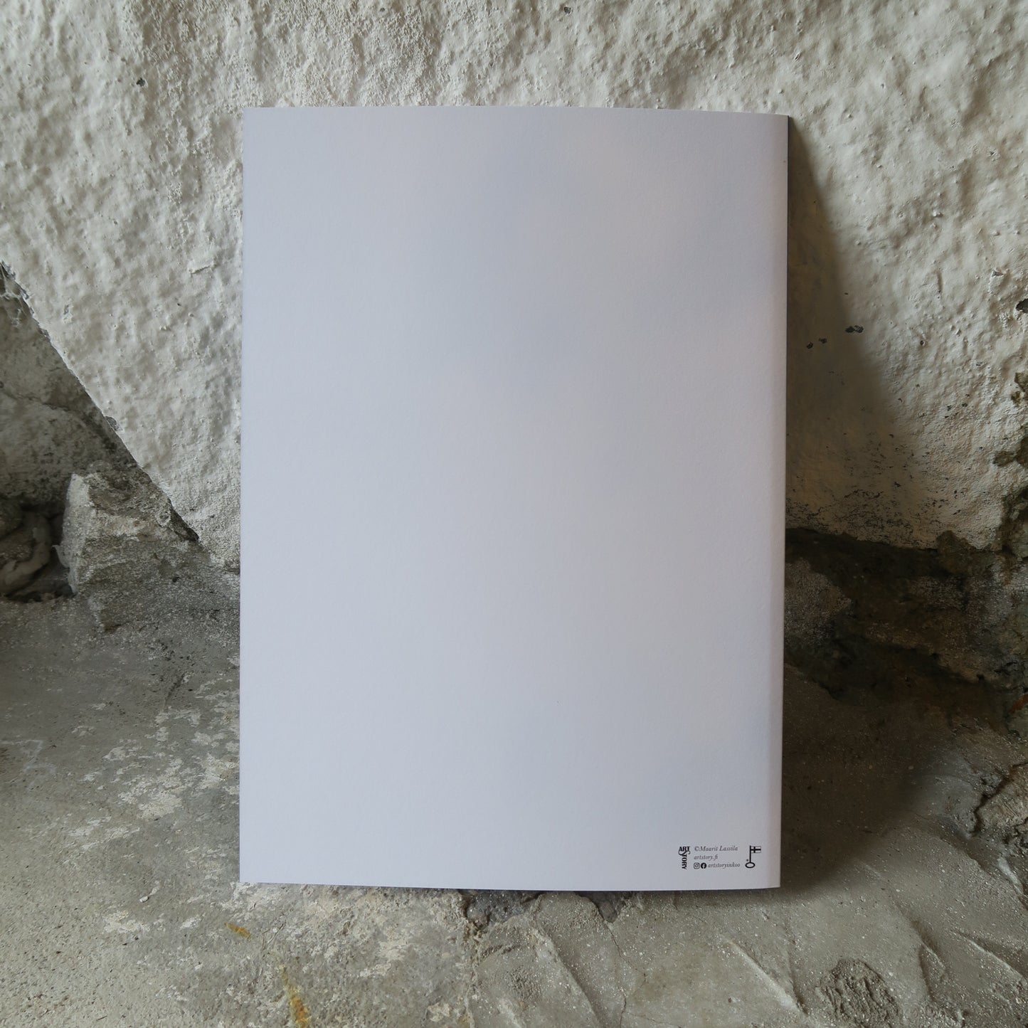 Suuri kortti / adressi - Lokit rannalla A4