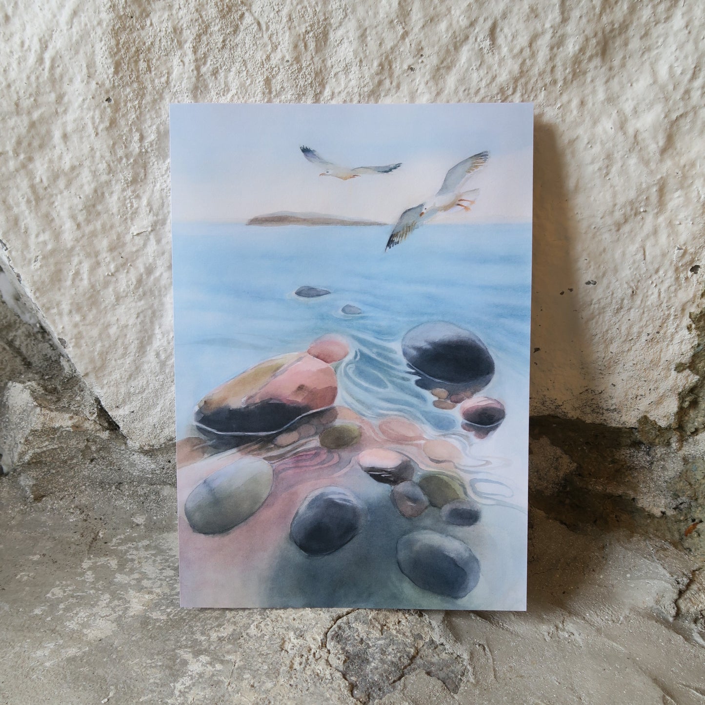 Suuri kortti / adressi - Lokit rannalla A4