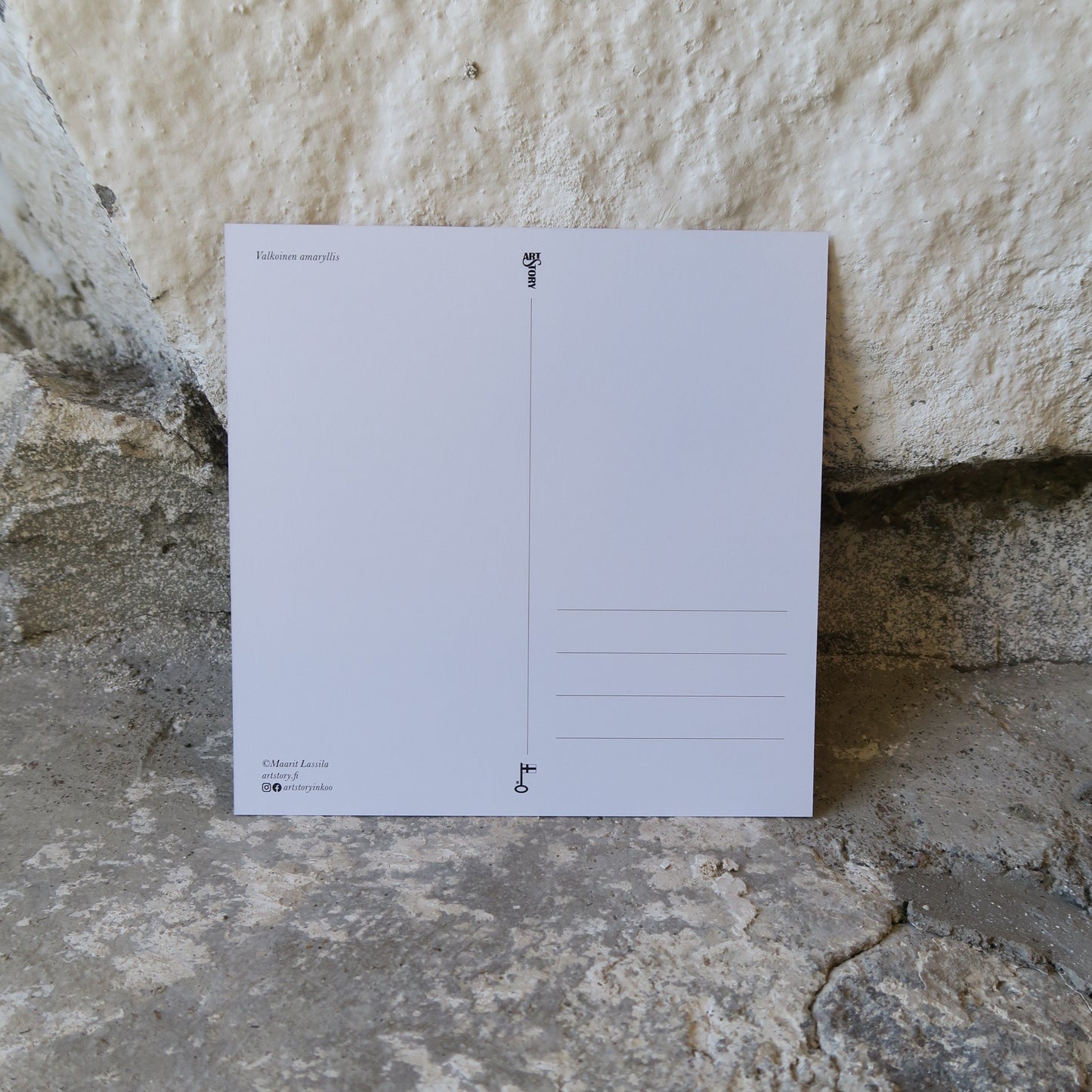 Kortti - Valkoinen amaryllis 14,9 x 14,9 cm