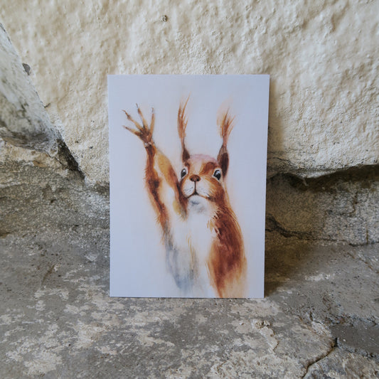 Kortti - Mitä kuuluu? A6