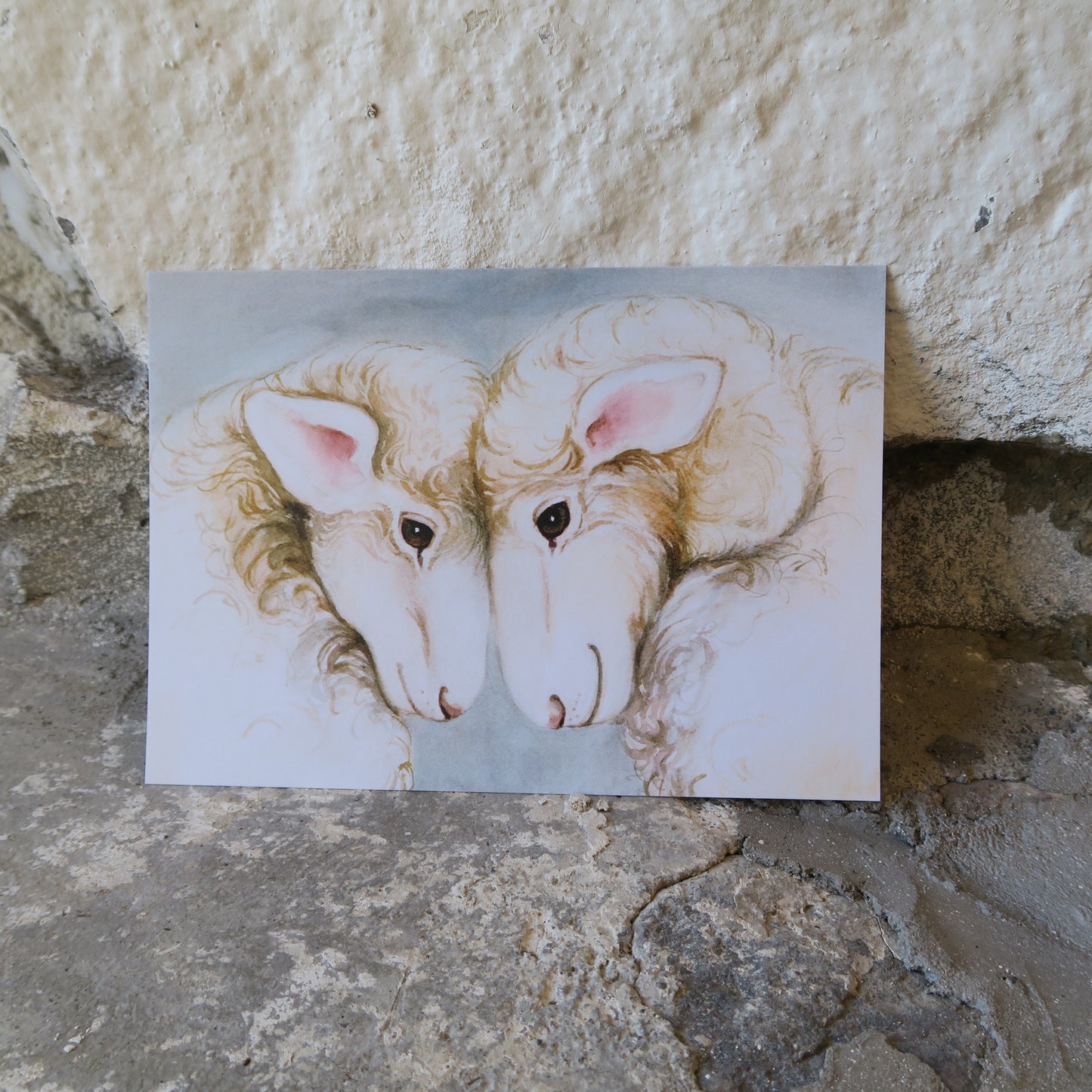 Kortti - Mää & Sää A5