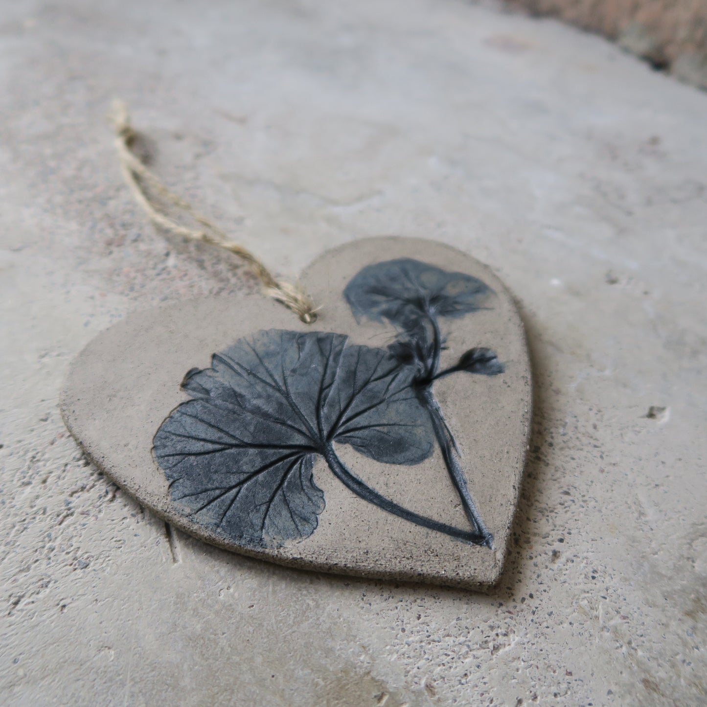 Sydän Pelargoni