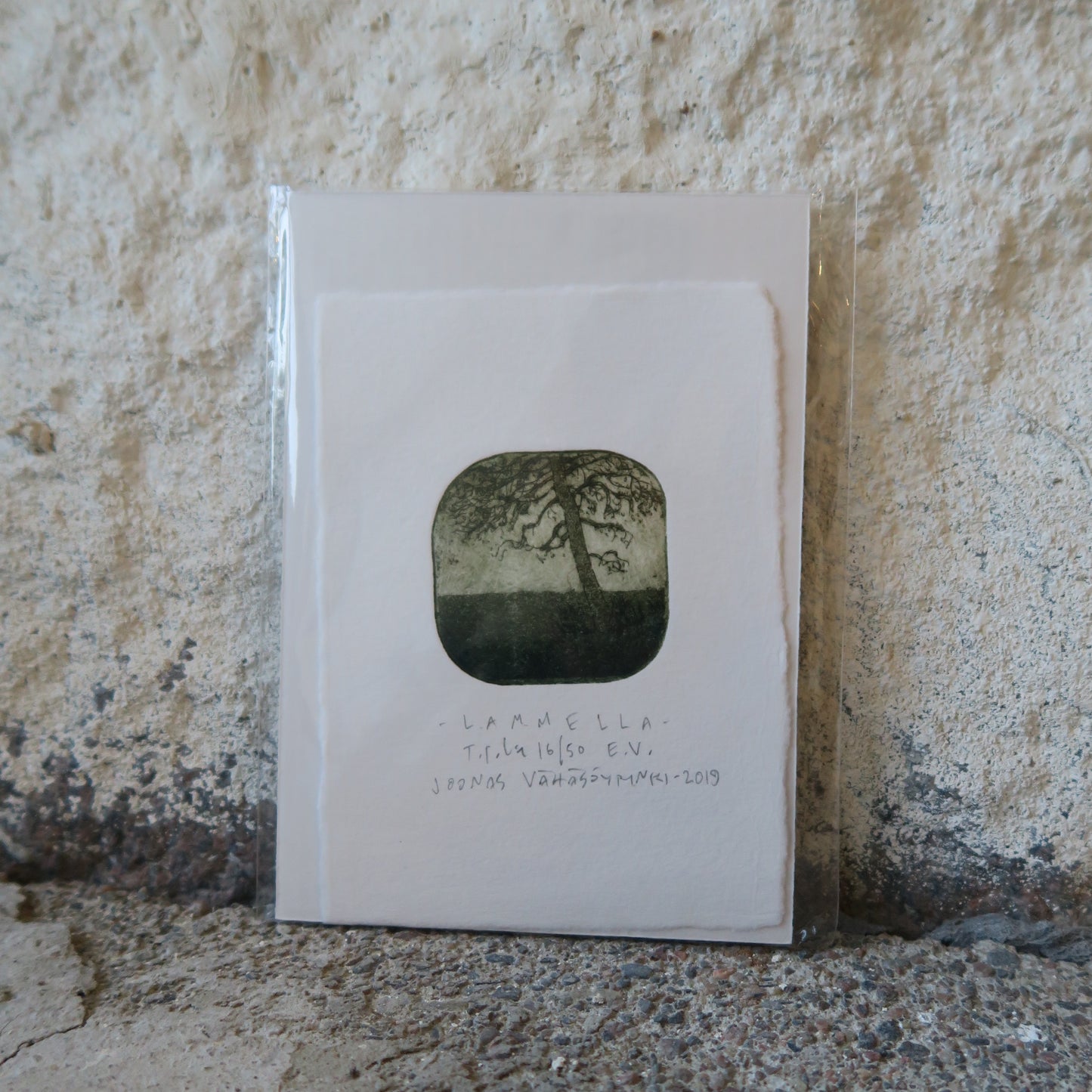 Lammella 16/50, Joonas Vähäsöyrinki, taidegrafiikan vedos