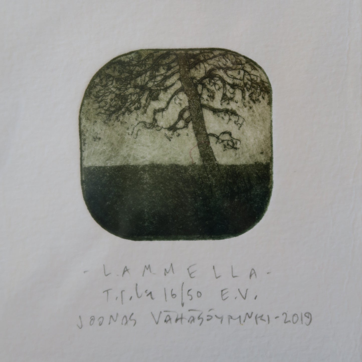 Lammella 16/50, Joonas Vähäsöyrinki, taidegrafiikan vedos