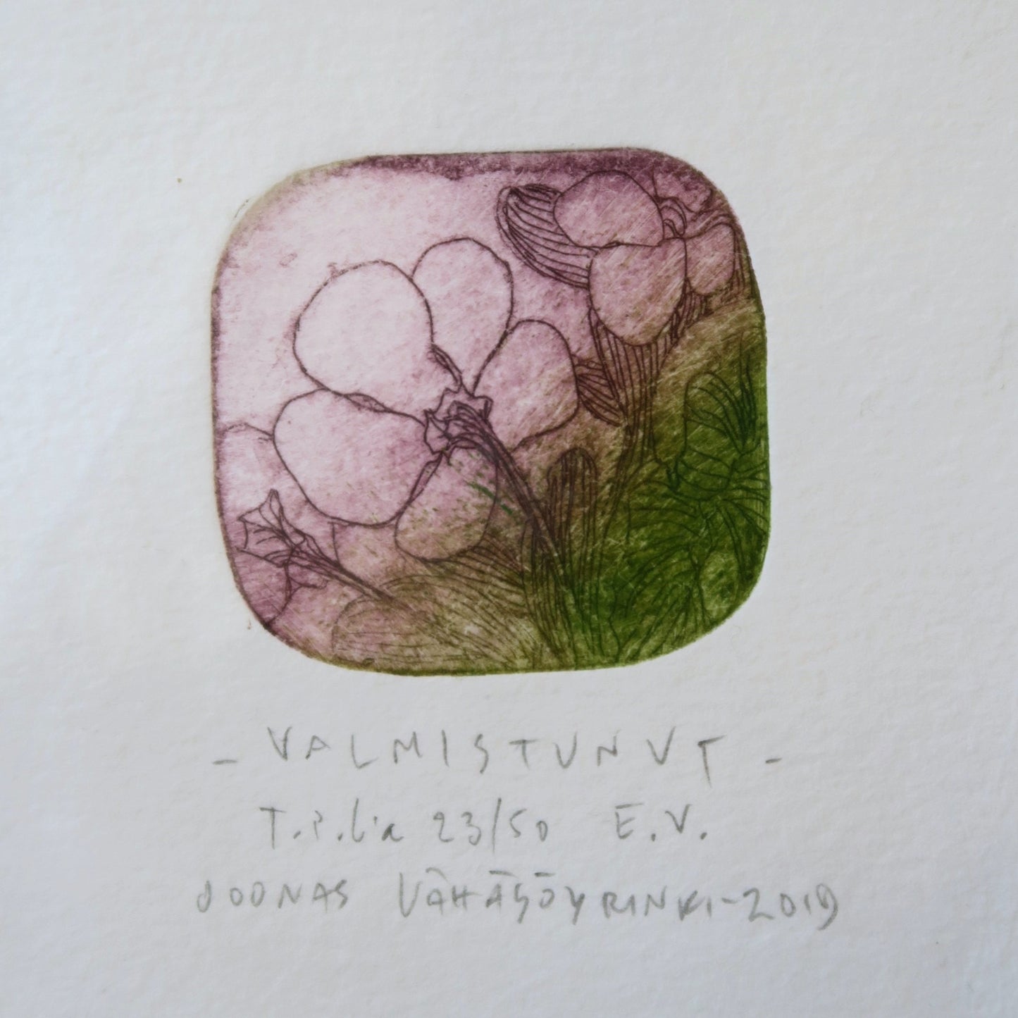 Valmistunut 23/50, Joonas Vähäsöyrinki, taidegrafiikan vedos