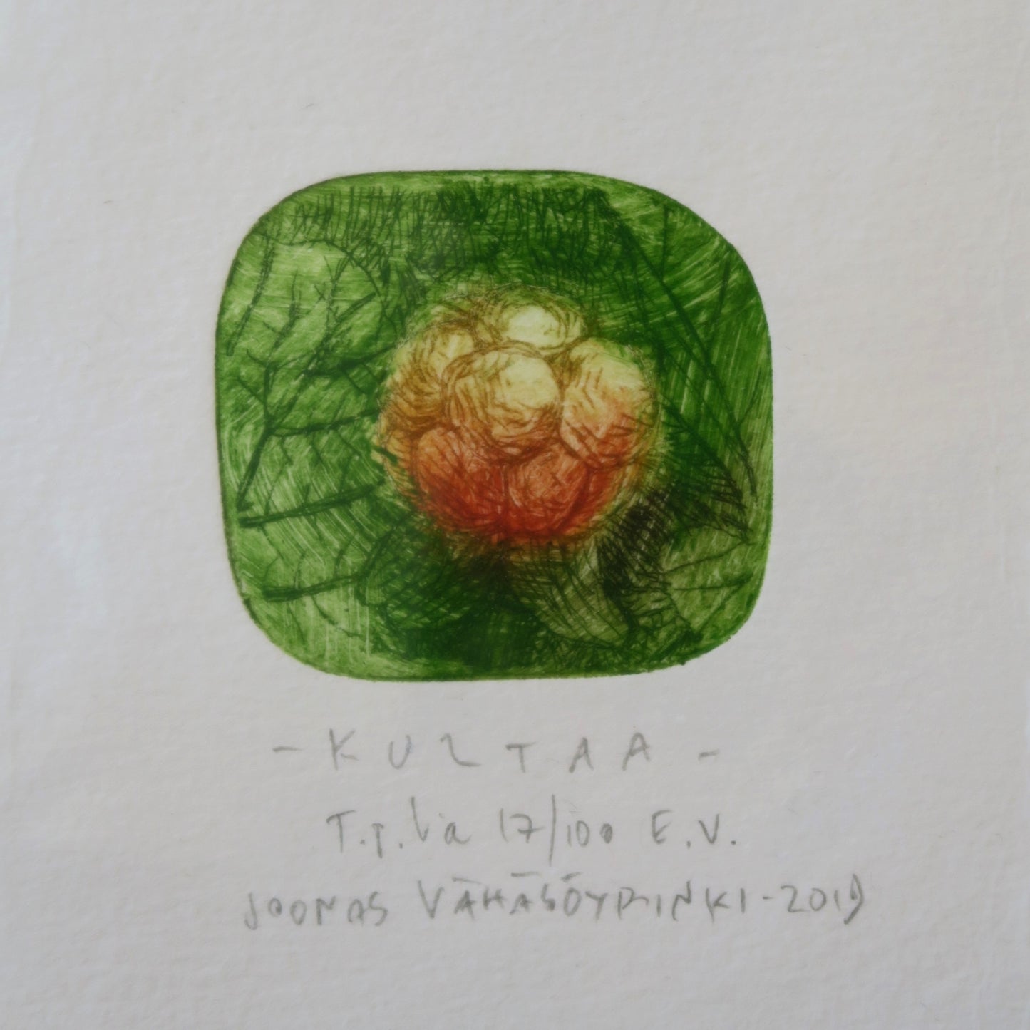 Kultaa 17/100, Joonas Vähäsöyrinki, taidegrafiikan vedos