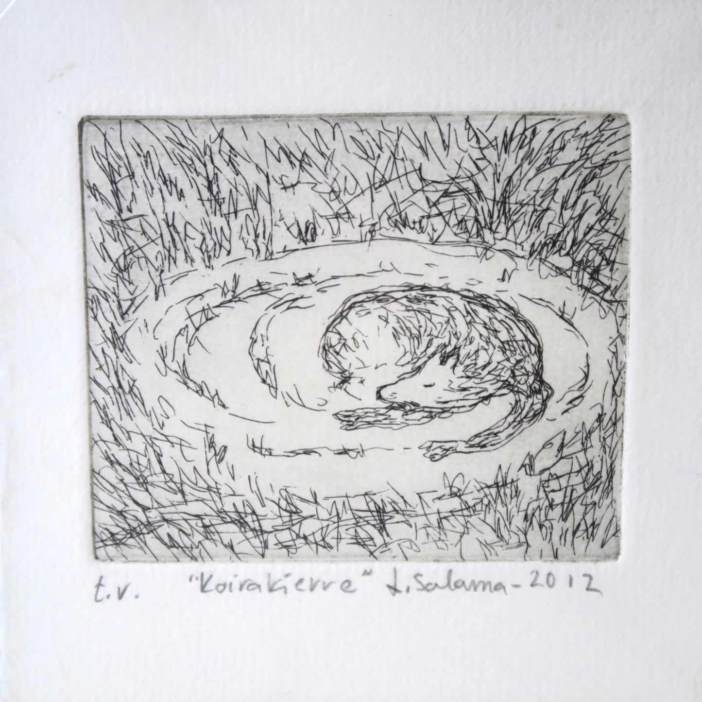 Koirakierre, Laura Salama, taidegrafiikan vedos