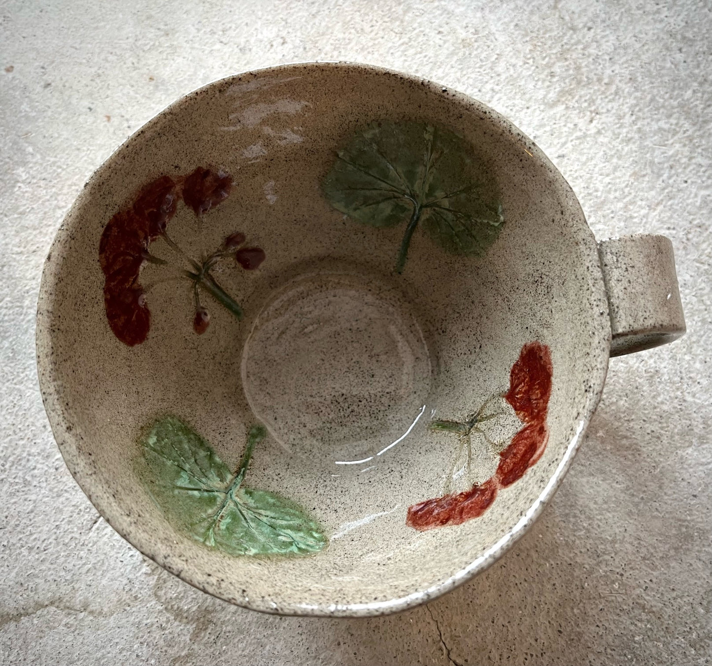 Pelargonia cappucino-kuppi